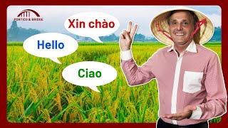 The Surprising Impact of Knowing Two Languages in Vietnam