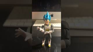 Vegetas advice