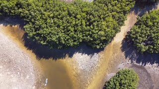 KAYAK FISHING for REDFISH in TAMPA BAY! #tampabay #redfish #kayak #13fishing