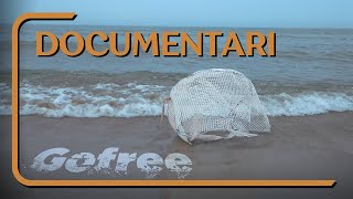 GoFree - Documentario