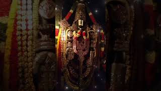 Sri Venkataswara Swamy Bhagvan Balaji Tirupati #venkateswara #balaji #tirupati #bhakti