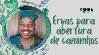 Candomblé e Umbanda | Ervas para abertura de caminhos