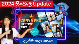 How To Get Canva Pro  Free සිංහල (2024) bingotingo