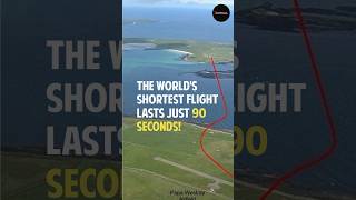 The World’s Shortest Flight | Factual | #didyouknow #facts #unknownfacts #shorts #youtubeshorts