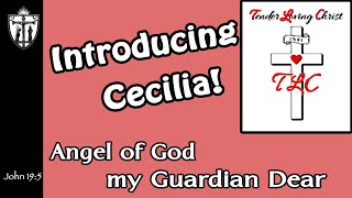 Introducing Cecilia: TLC-Angel of God