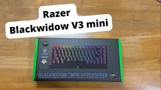 Razer v3mini