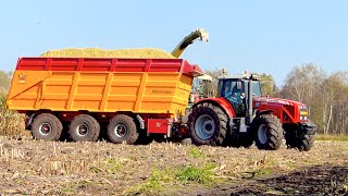 Mais hakselen Mart Munsters Deurne | KRONE BIGX 700 Massey Ferguson 8470 7495 Veenhuis USA Equipment