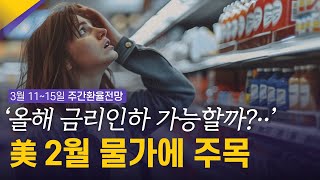 올해 금리인하 가능할까? 美, 2월 소비자물가 지표에 주목! | 3월 2주차 환율전망 | 환율똑톡