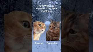 POV: Eigentlich wollte sie ins Gym😂