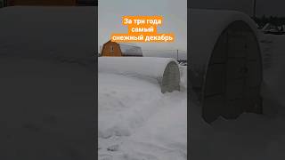 19 декабря 2022. Никола Зимний в Подмосковье. С праздником! #shorts #дача #дачавподмосковье