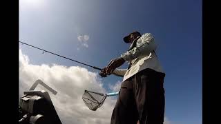 Simple! How we caught Big Crappie in November..using Garmin Live Scope!