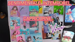 CAPRICORNE GUIDENCE INTEMPOREL VOUS ET VOTRE AUTRE SENTIMENTALE