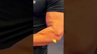 Natural Forarms #thesbfitness #forearms #youtubeshorts #viral