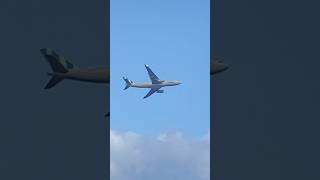 Condor airlines flight from Cape Town to Frankfurt #planespotting #viral #condorairline #shorts