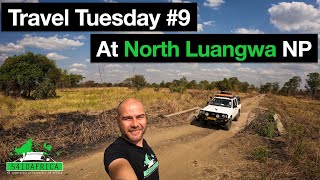 Travel Tuesday #9 | At North Luangwa National Park