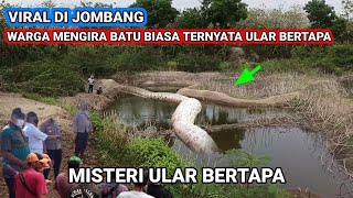 Viral❗Batu ular sebesar pohon kelapa terlihat jelas di temukan di gunung tunggorono