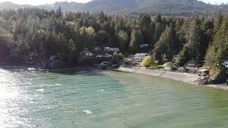 Hamma Hamma, WA - April 2020