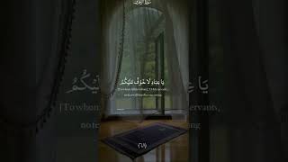 يا عباد لا خوف عليك سورة الاحزاب #اكسبلور #تصميمي #لايك #جديد #ستوريات #