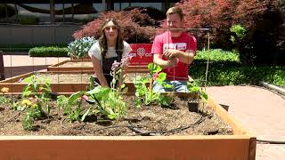 KDRV In the Garden with Grange Co-op: Cucurbits