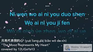 月亮代表我的心 (yuè liang dài biǎo wǒ de xīn)  "The Moon Represents My Heart"