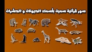 معلومات قرآنية | سورة سميت بيوم من أيام الأسبوع