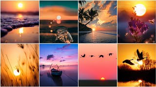 Sunset Dp pictures for WhatsApp | Sunset Dpz | Sunset wallpaper | WhatsApp dp | Sunset photo images