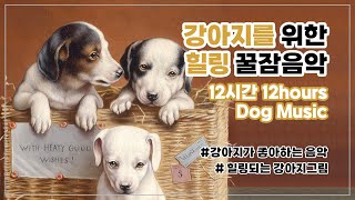 강아지가 좋아하는 음악🎵강아지 수면 힐링음악 귀여운 강아지그림 12시간 연속재생 🎵12 Hours of Deep Sleep Dog Music