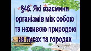 §46📚 АВДІОПІДРУЧНИК. 6 кл. Які взаємини організмів між собою та неживою природою на луках та городах