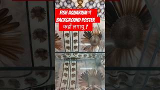 Fish aquarium में background poster कहाँ लगायु ? #fishtank #aquarium #aquariumglass #fish #ytshorts