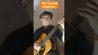 Луч солнца золотого-Бременские музыканты #песня трубадура #кавер #нагитаре #cover #acoustic #музыка#