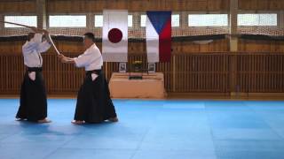 Ichiro Shishiya sensei - 41 kata 1-20 (ken) (19 March 2016)