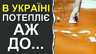 Когда ждать потепления в Украине: Погода в январе 2024