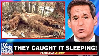 Expedition Bigfoot Researcher: "The Proof Is Out There We Found Him