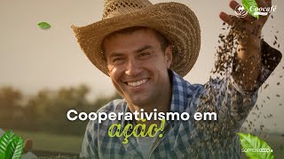 🎙️ PodCooperar: o cooperativismo com Pedro Araújo, Diretor de Produção e Comercialização da Coocafé.