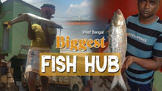 Biggest Fish Markets In India | Indian fresh fish market | wholesale fish market | Fish Market