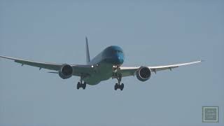 VN1 - Vietnam airlines landing at Wellington Airport