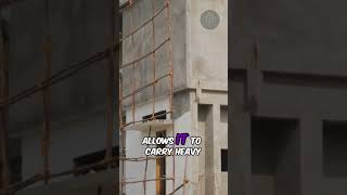 High-Rise Buildings and Structural Frameworks #shorts #bamboohouse #viralshorts #trendingshorts