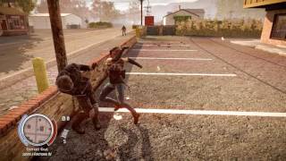 [Finale/CLEO] State of Decay Breakdown YOSE (mini series)