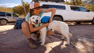 Comment installer et ajuster le sac à dos pour chien Ruffwear Approach