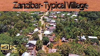 African Village in the middle of NOWHERE- How do common people live in Zanzibar?