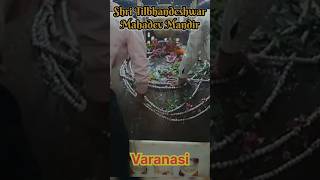 Tilbhandeshwar Mahadev Mandir#bholenath #mahadev #shorts #trending #youtubeshorts #viralvideo