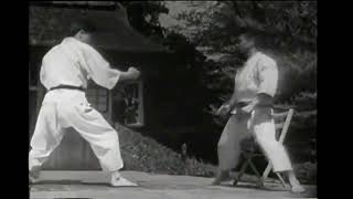 Shotokan Goshinjitsu Isudori 04