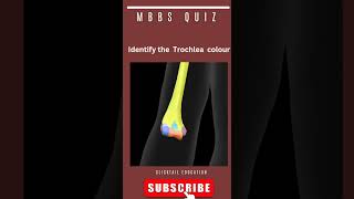 identify the trochlea 3d anatomy #medicalquiz #anatomyquiz #neetpgpreparation #humerus #mbbsanatomy