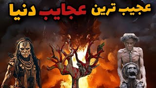 عجایب گمشده دنیا🔥 |رازهای عجیب و غریب دنیا  که هیچ کس به شما نگفته است!!