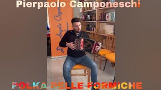 Pierpaolo Camponeschi - Polka delle Formiche