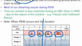 REM and NREM sleep - VCE Unit 3 Psychology