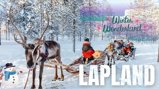 Lapland's Frozen Wonderland: Northern Lights & Unforgettable Winter Adventures!