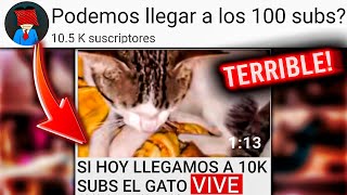 TERRIBLE! "Si LLEGAMOS A 10K SUBS EL GATO SIGUE VIVO" -  "Podemos llegar a los 100 subs"