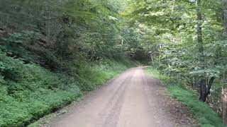 [HD] Susquehannock State Forest, Pennsylvania, US - Scenic drive on mountain roads