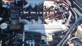 Jaguar V12 high energy cylinder head. We take a look at Mark's sweet Jaguar. Sweet sound of a V12!